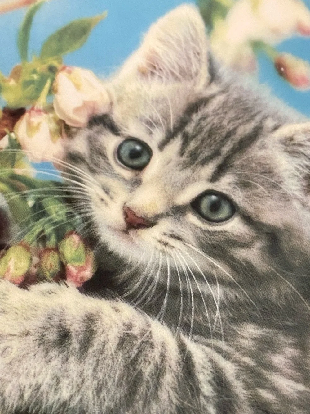 Gray Tabby Kitten Decorative Wall Plate